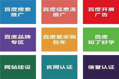 竞价代运营案例解析：中小企业如何快速崛起